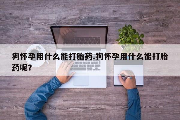 打胎药如何购买狗怀孕用什么能打胎药.狗怀孕用什么能打胎药呢？