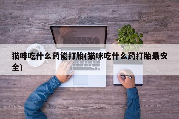 打胎药如何购买猫咪吃什么药能打胎(猫咪吃什么药打胎最安全)