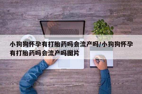 打胎药如何购买小狗狗怀孕有打胎药吗会流产吗/小狗狗怀孕有打胎药吗会流产吗图片