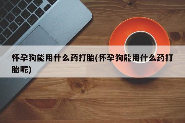 打胎药如何购买怀孕狗能用什么药打胎(怀孕狗能用什么药打胎呢)